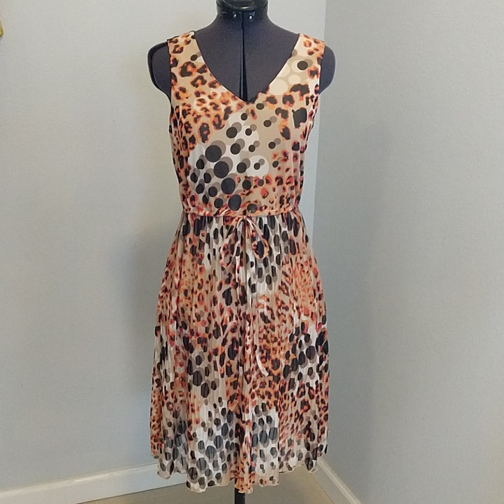 Madison Petite dress size Petite Small.